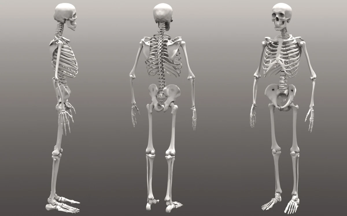 Reaper | Elysium RP Wiki | Fandom