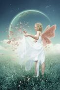 Butterfly Faeries