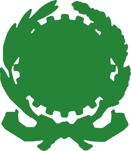 Official emblem. Tatarstan Emblem.