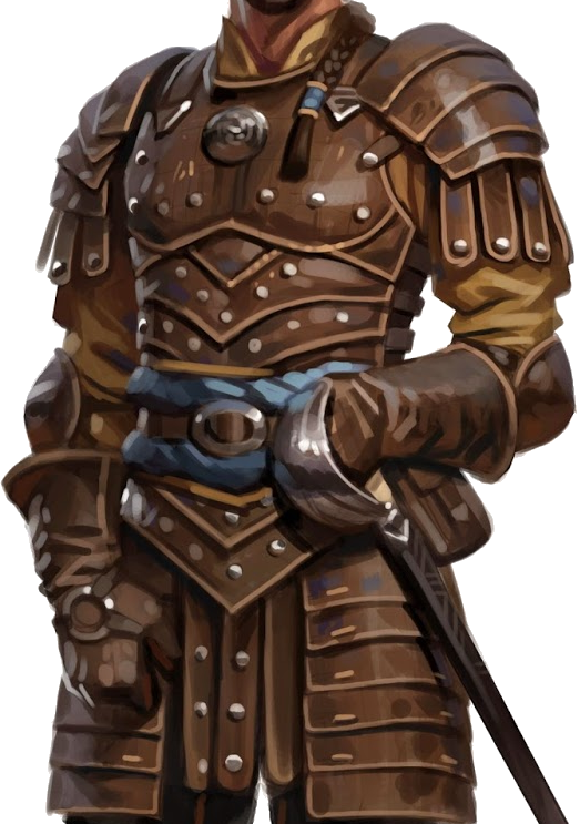 Image result for studded leather armor d&d