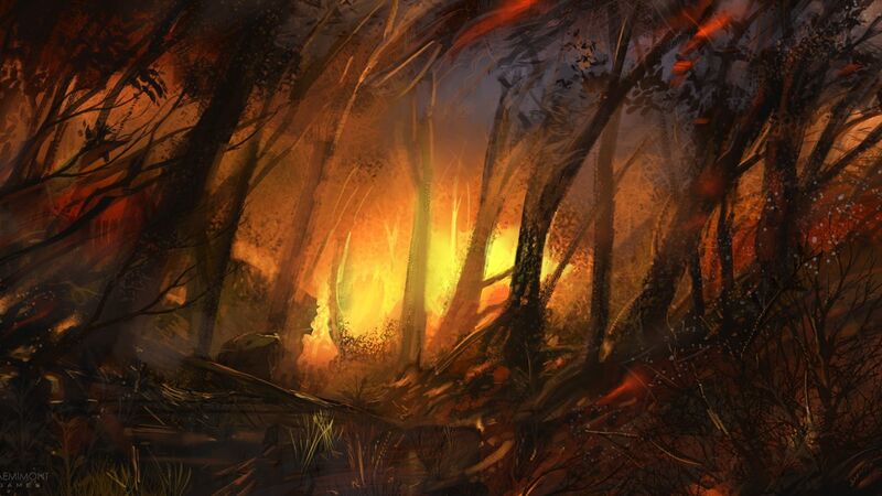 Forest Fire