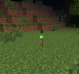 Torch2.png