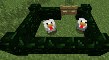 Wall2.png