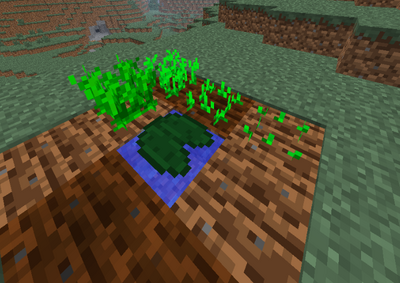 Plant.png