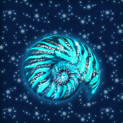 AmmoniteShell1.png