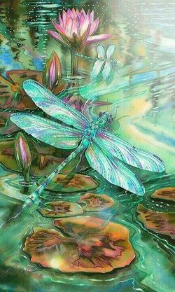 DragonflyLotusLily.jpg