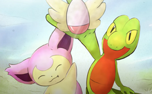 Skitty and Treecko