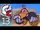 Paper Mario – Episode 13: Buzzard Breath