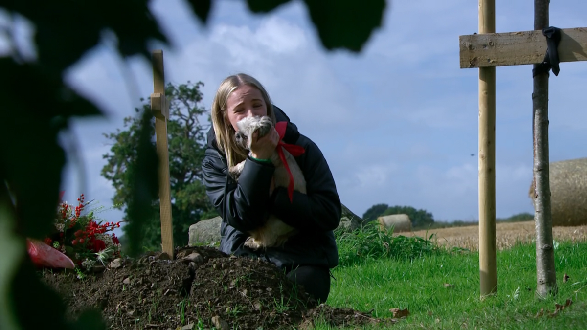 Episode 10172 (25th December 2024) Emmerdale Wiki Fandom