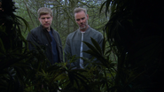 Latest episodes