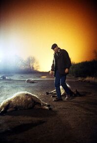 Emmerdale Plane crash, Jack Sugden finds dead sheep