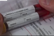 Lawrence's blood sample.