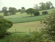 In August 1994, Joe Sugden points to this field, telling Ned Glover where a huge piece of plane wreckage fell down.