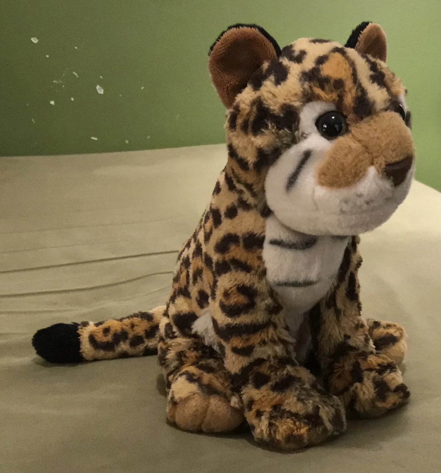 Olivia Emmett's Stuffed Animals Wiki Fandom