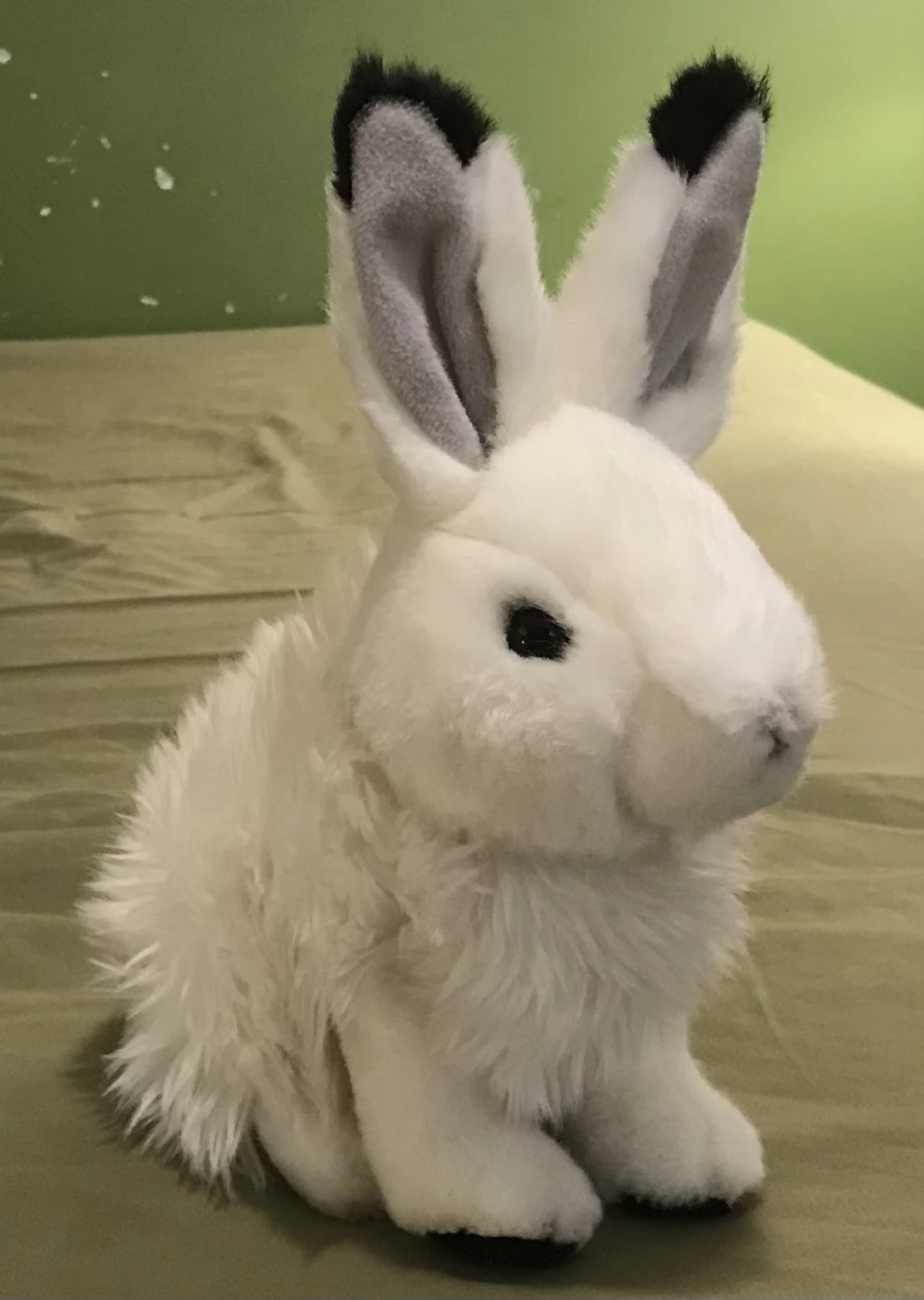 Freeze Emmett's Stuffed Animals Wiki Fandom