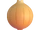 Onion
