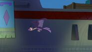 Yzma (Buzzard)