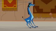 Kuzco (Giraffe)