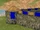 Wall (Empire Earth)