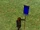 Standard Bearer