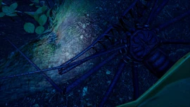 Whip Spider | Empires of the Undergrowth Wiki | Fandom