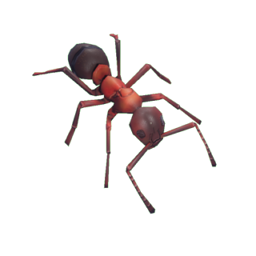 empires of the undergrowth black ant vs worker ant