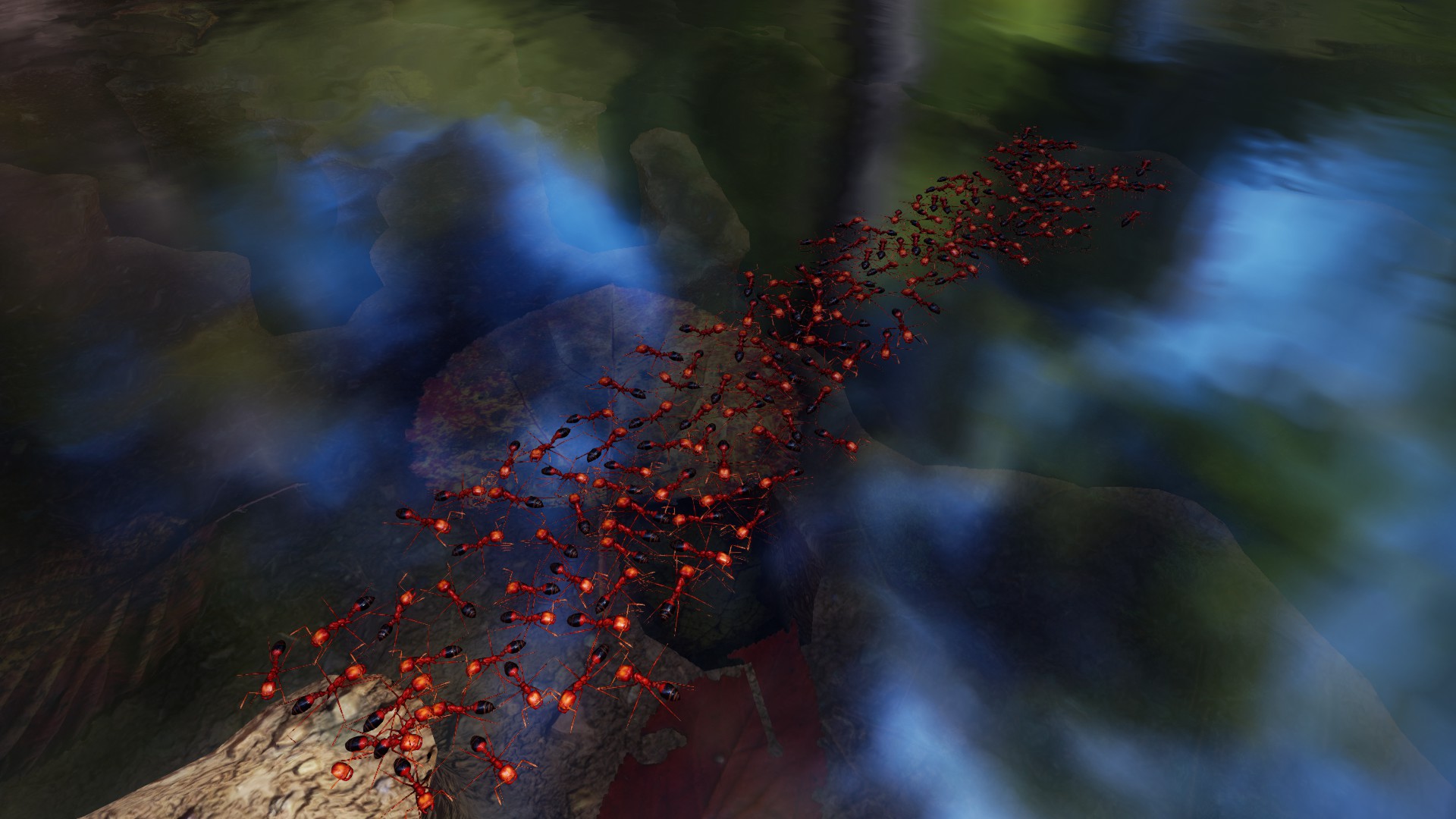 empires of the undergrowth fire ants