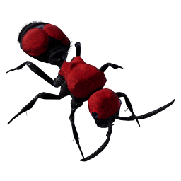 Red Velvet Ant | Empires of the Undergrowth Wiki | Fandom
