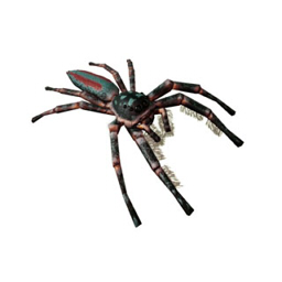 how to fight spiders empires of the undergrowth how to fight spiders empires of the undergrowth
