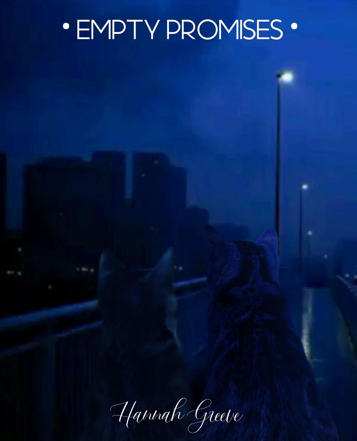 Empty Promises Book Covers Empty Promises Wiki Fandom
