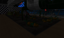 Plants.png