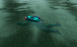 Player Swimming