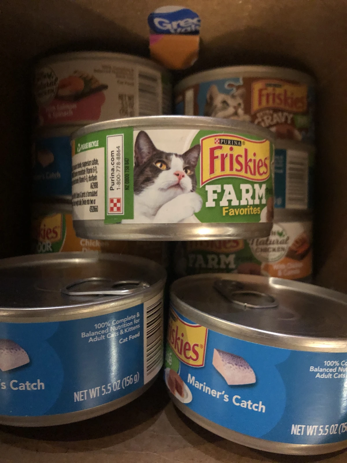 Gravy Em's Cats Wiki Fandom