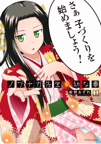 その他 nobunaga Amazon.com: Nobunaga no Yabou: Ranseiki with Power-Up Kit
