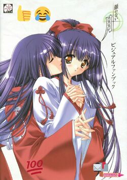 Moonlight Lady | Animanga Wiki | Fandom