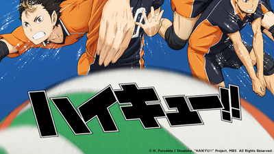 Anime Haikyuu!! - Temporada 3 - Animanga