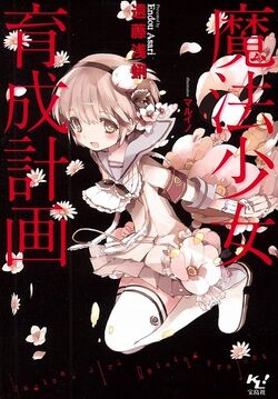 Mahou Shoujo Ikusei Keikaku Light Novel