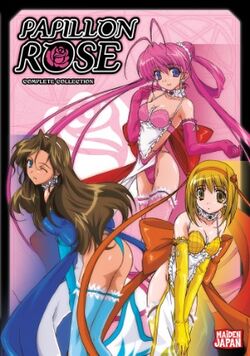 Papillon Rose.jpg