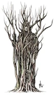 Tree Elf. They may only grant passage to Sang’gres of Encantadia, that is if their hearts are pure and strong.