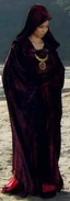 Travelling Attire, with the hood