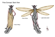 Back View Concept