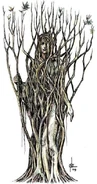 Tree Elves are guardians to the pathway to the Dark Woodlands of Encantadia. Travellers who ignored their subtle warnings are said to have disappeared and were never heard from again.