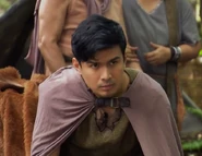 Apitong's former infobox portrait.