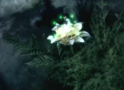 Alena as a flower.