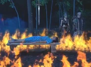 Chapter 36; Hagorn traps Lira in a circle of fire and threatens Danaya that a sword will drop on Lira if she doesn't surrender her Brilyante.