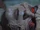 Ravenum