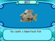 Human-Faced Fish