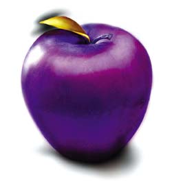 purple apples