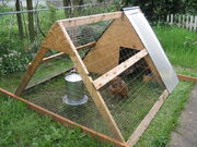 A-frame chicken coop, Portland OR