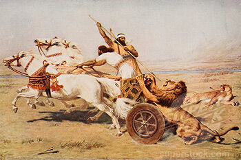 SuperStock 1916-1659.jpg